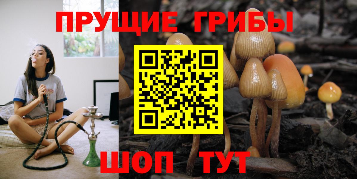 Псилоцибиновые грибы Psilocybe Еманжелинск